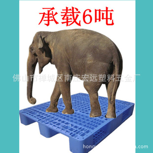 ɽϵ̨塢ܽջ塢Ͽ塢