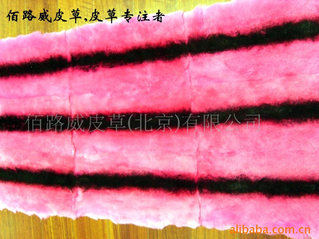 ̡Ƥӣ缹