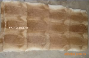 רӪ----ݰƤӣ