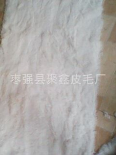 Ƥݳ