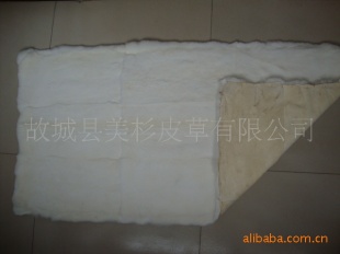 ƤӡݻƤӡ