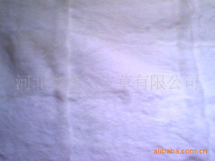ҵ²ƷشëƤӣùüƤ10
