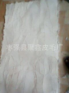 ǿؾƤë