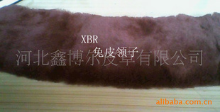 XBR,TPL850Ƥӣڸַװ