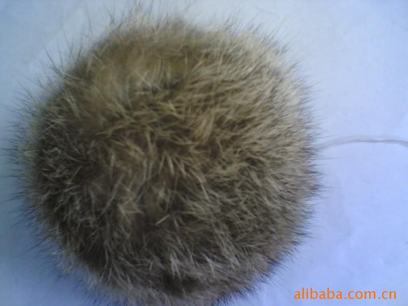 ݻë8