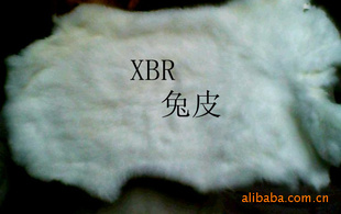 XBR,ȻƤص㣬ëƽëʡ
