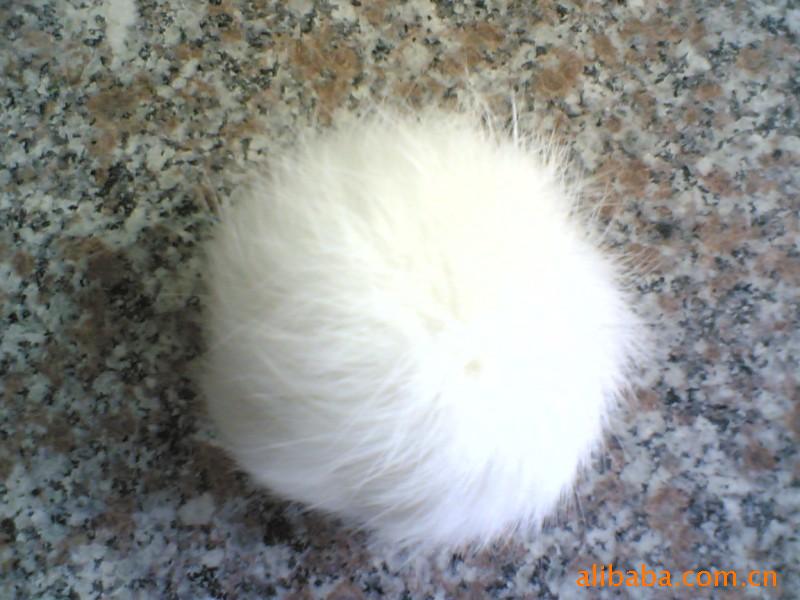 ݻë5CM