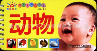 ⱦѧȫʮ鼮鼮