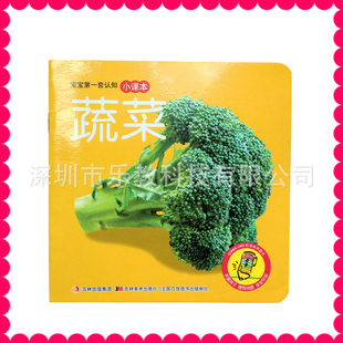 TS36宝宝套认知小课本/经典有声图书/原版吉林美术有声图书