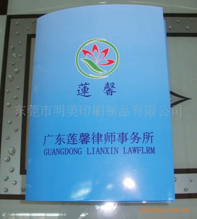 ᣬ˵