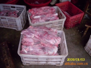 宠物犬狗等动物饲粮-兔肉