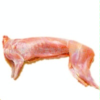 ڸ⻶ӭ