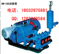 BW250ʽཬò
