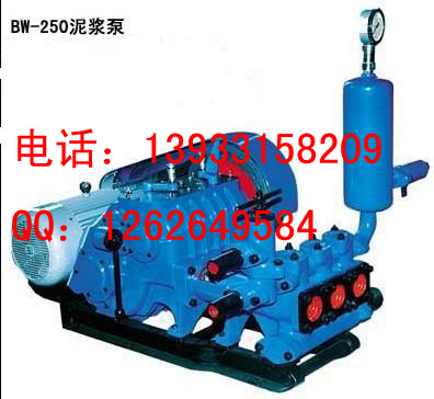 BW250ཬü۸̨