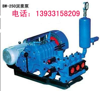 BW-250ཬü۸BW-250ཬò