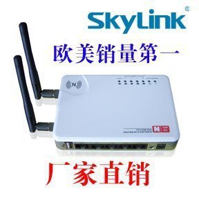 Skylink300MAP/м/ͻ/WDS/3Gl·