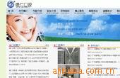广州网建设,网制作、建设网页、网页设计