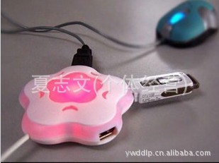 ׼߲÷USBHUB2.0λԷһĿ