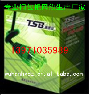 ²ƷͭͨٱͭTS1Զȶ