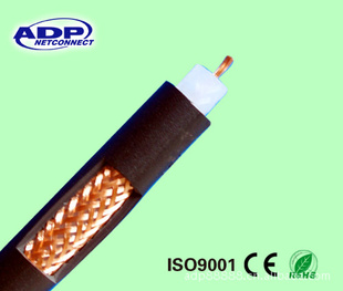 CAT6