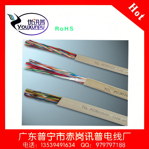 25ڴͨŵHYV25*2*0.5MM