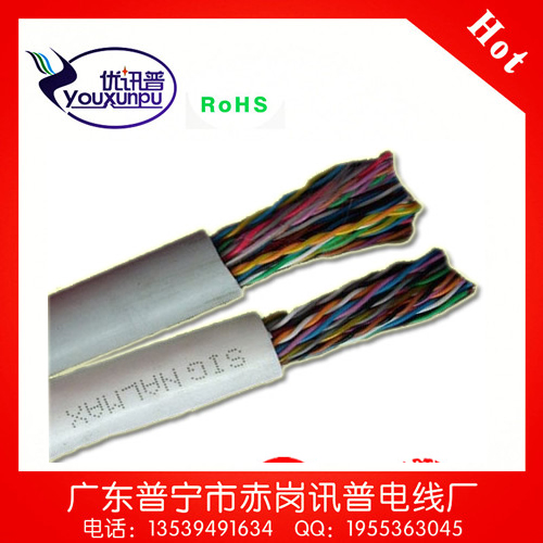 50ԴͨŵHYV50*2*0.4MMͭ