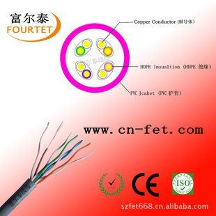 CAT5Eͭ