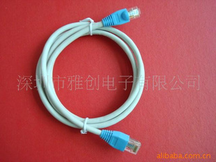 网线LANCABLECAT5e