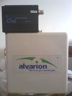 άͨ(Alvarion)