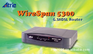 WireSpan5300
