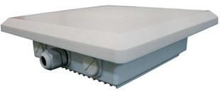 LL2450C-AP2111a21dBi