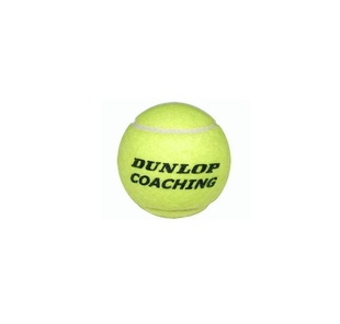ѵDunlop»ʹëѹ605041