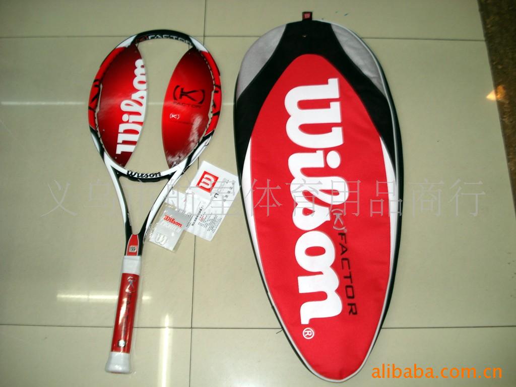 WILSONģֻ֧(ͼ)