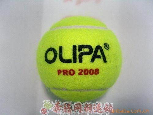 ܰpro2008ѵ