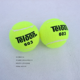 603-60ѵڵĥ