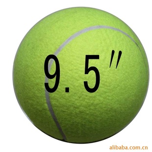 |ǩ|9.5|ڵ