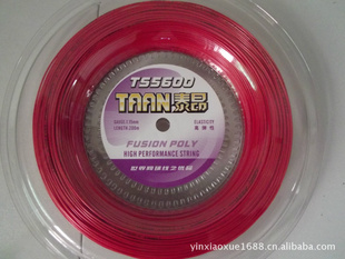 ߡ̩TS5600.