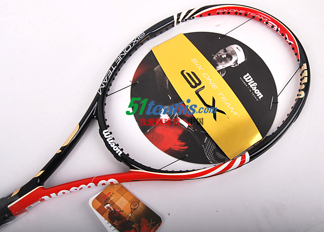 51tennisӦͯ/άʤģŹ
