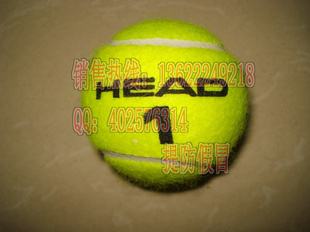 -HEAD-ѹ-ӡ