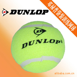 Dunlop/»װѵ3װ