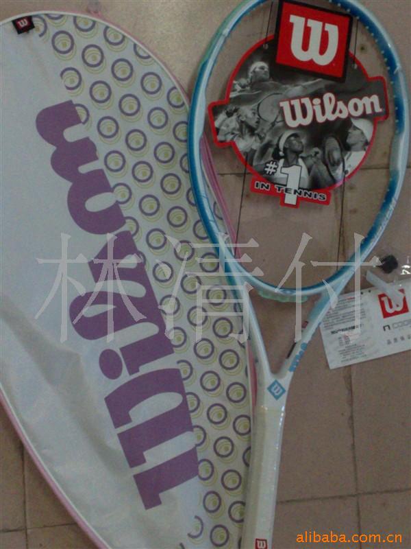 WILSONϵȫ̼