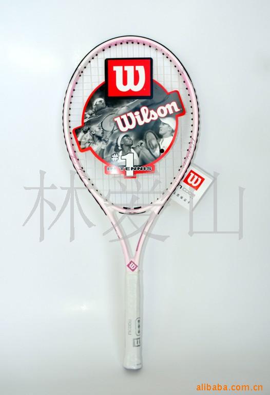 WILSONķۺ