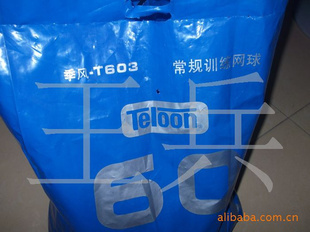 T603-60ѵ60/