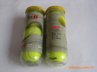 T616P2ʽ