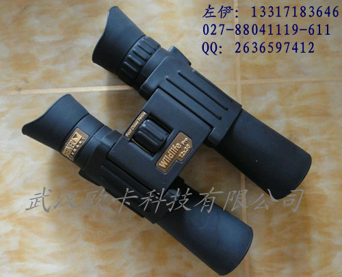 ӵ5462