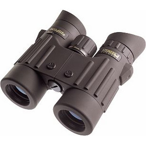 ¹ӵԶSTEINER8X425481