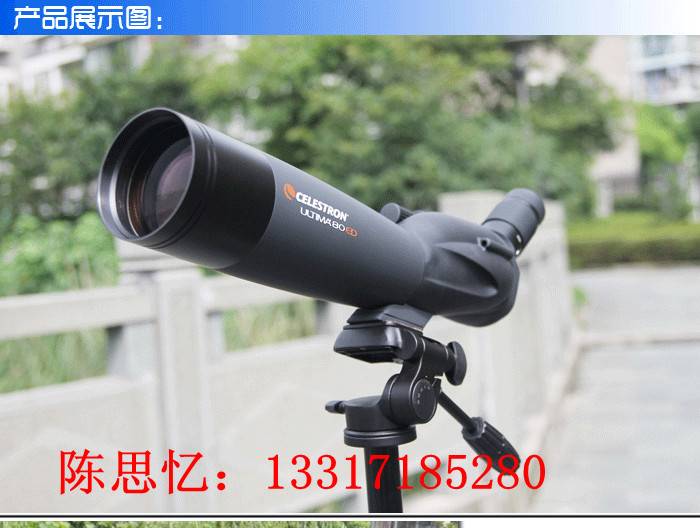 ٶʹUltima80ED-45