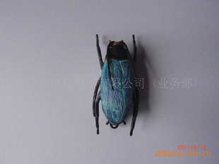 õȻ“Сǿ”綯