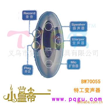 عBW70055
