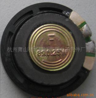ICõС29MM